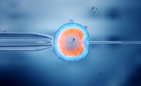 Can I sue a fertility specialist or IVF clinic if they are negligent?
